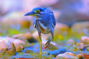 足球买波胆点球算吗？足球买波胆点球算吗